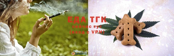 гашик Янаул