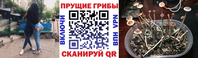 KRAKEN зеркало  даркнет какой сайт  Галлюциногенные грибы мухоморы  Новосибирск 