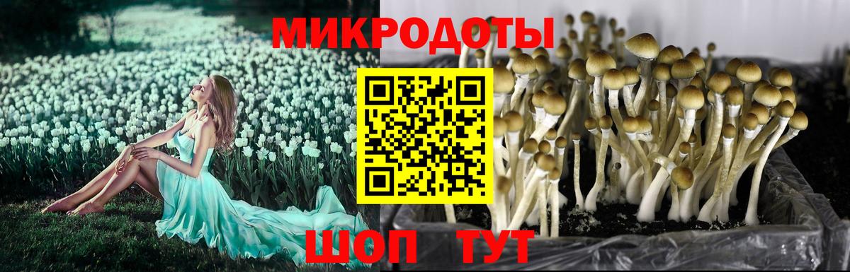 Псилоцибиновые грибы мухоморы Новосибирск